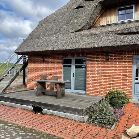 Dreiurtshof 4 Apartment Malchin
